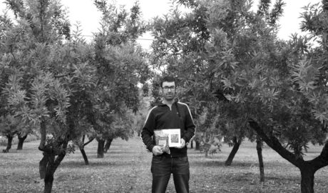Llauradors d'Alcalalí: "La Xylella es un error de las instituciones, que no han hecho nada para prevenir su entrada"